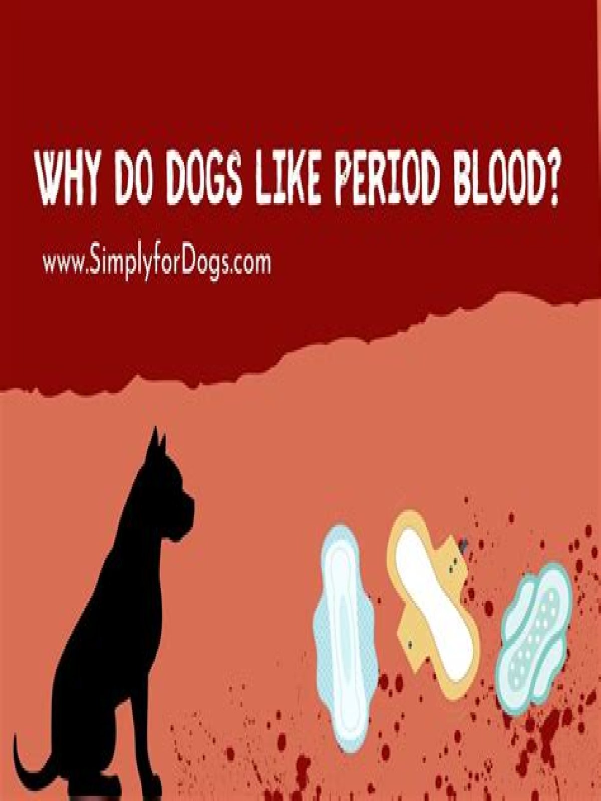 Are dogs attracted to period blood?