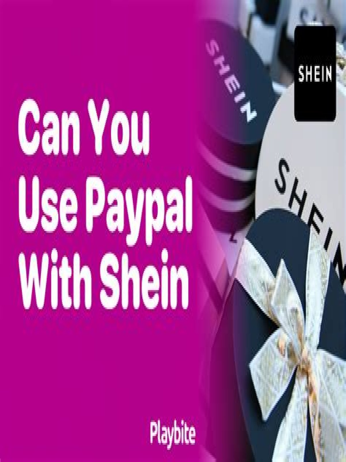 Can an LLC use PayPal?
