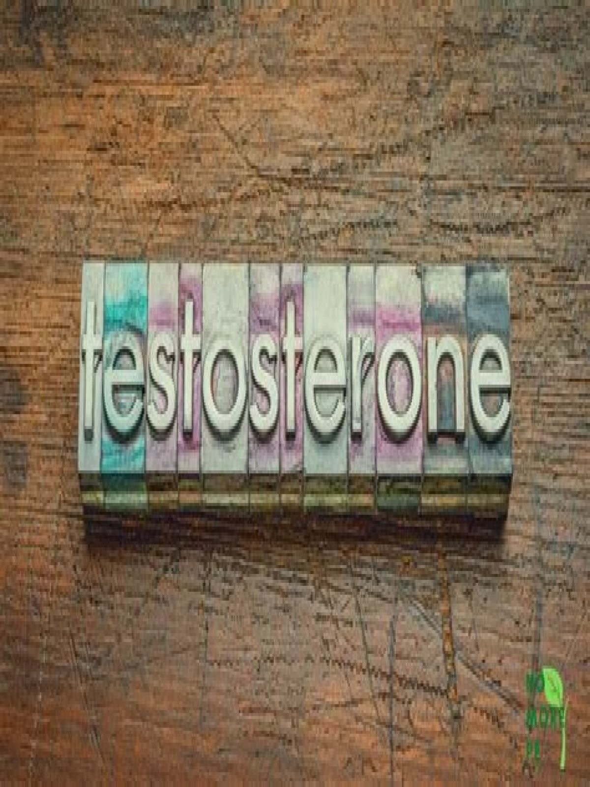 Does higher testosterone make you last longer in bed?