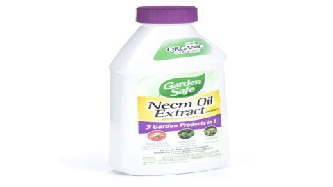 How do you mix neem oil extract?