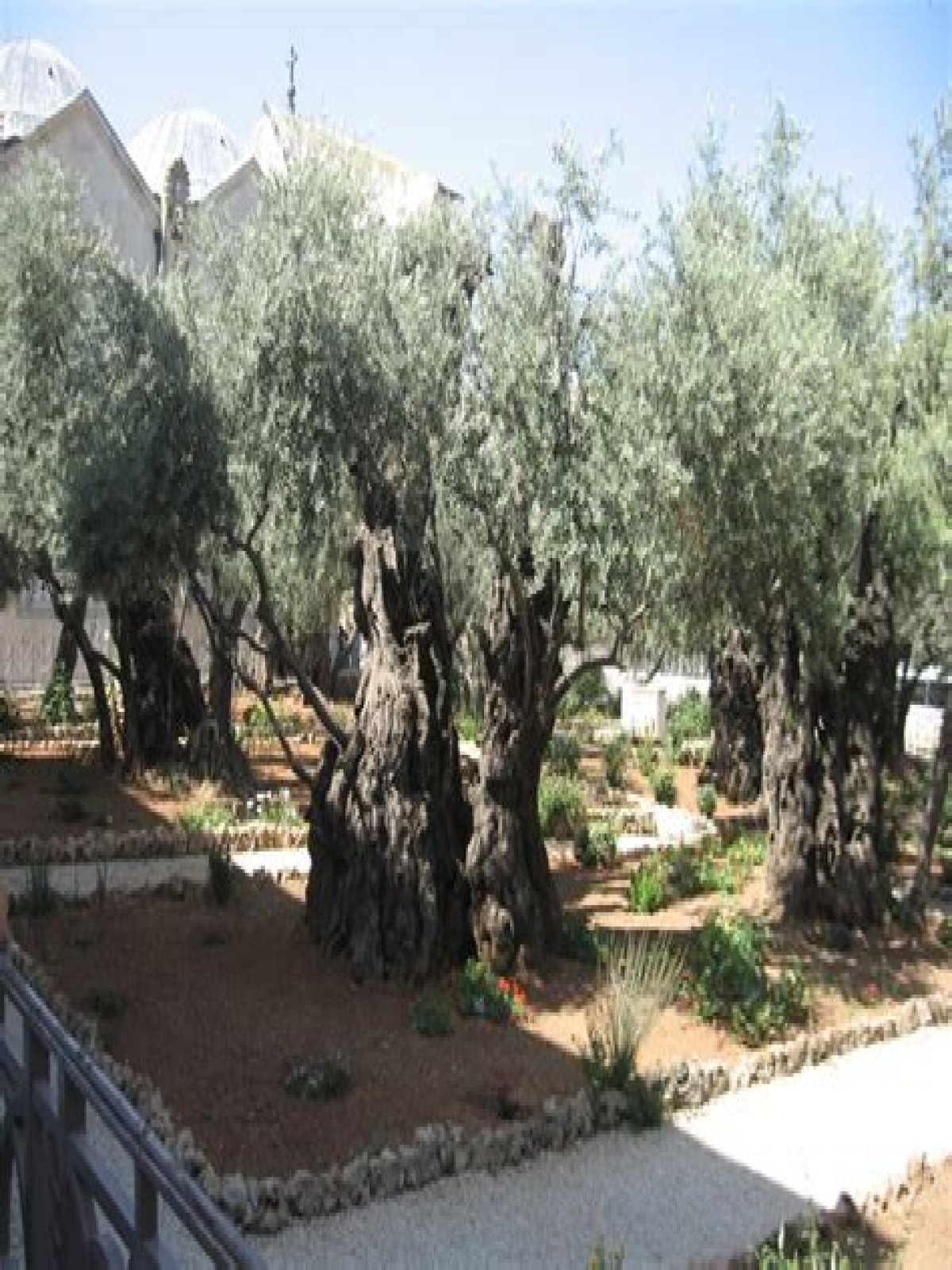 Is Gethsemane the same as Mount of Olives?
