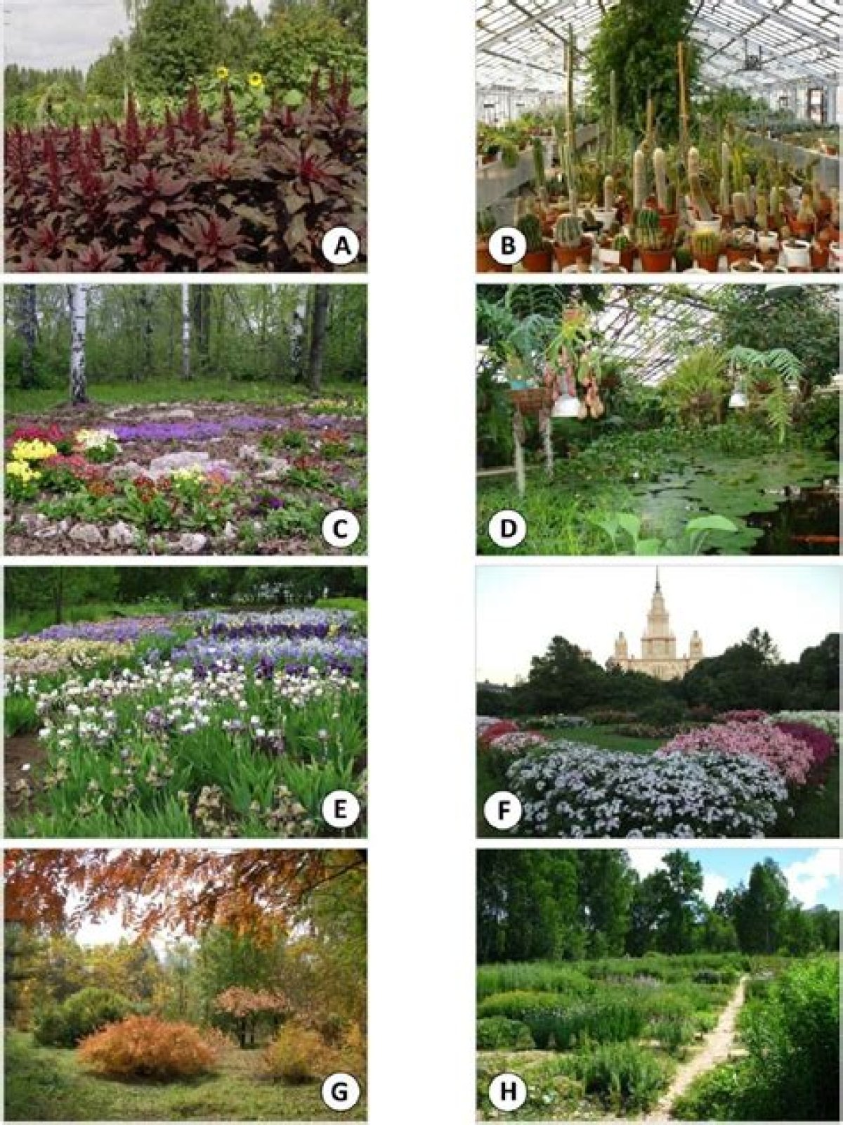 What are botanical gardens examples?