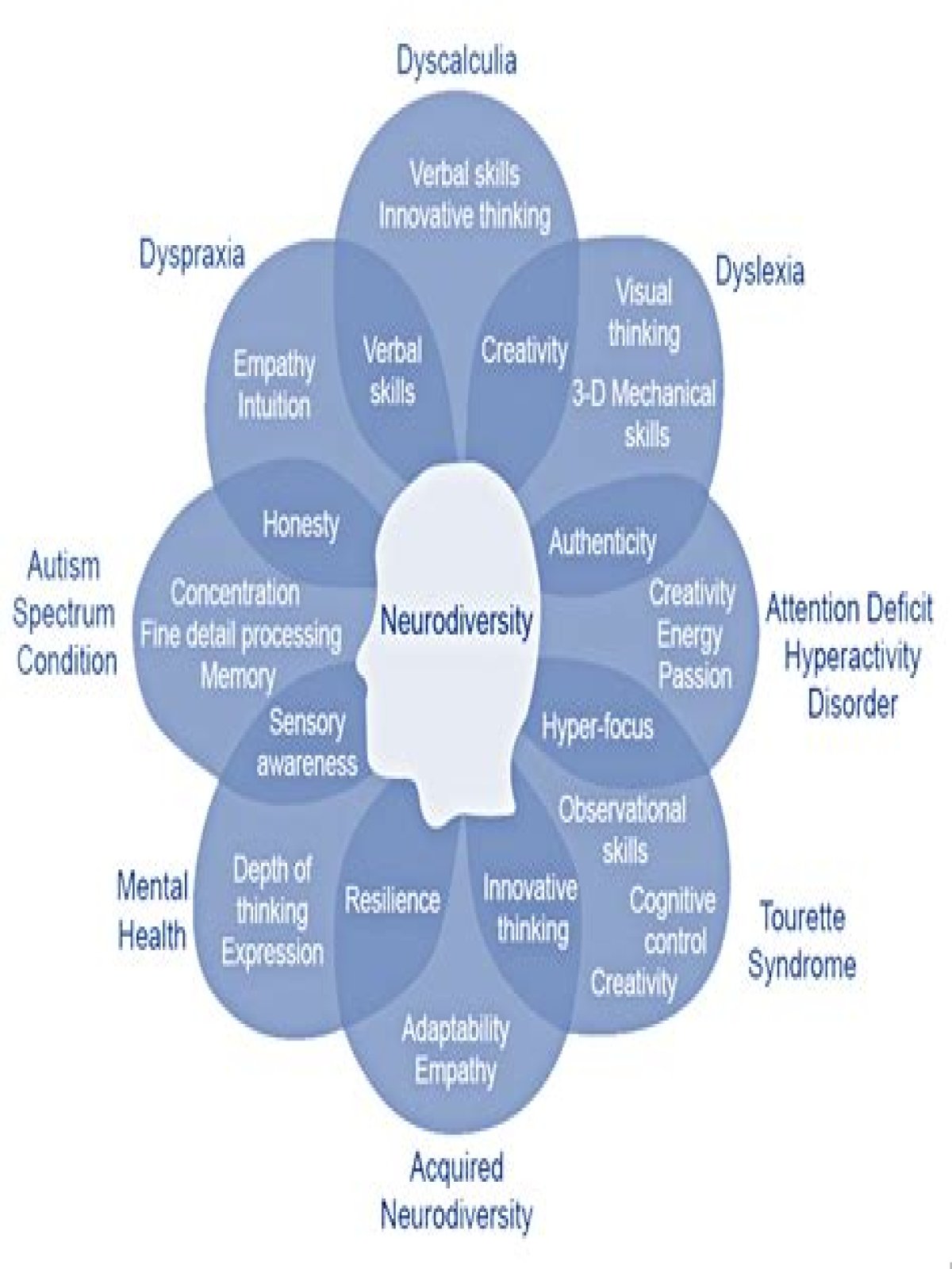 What conditions are Neurodivergent?