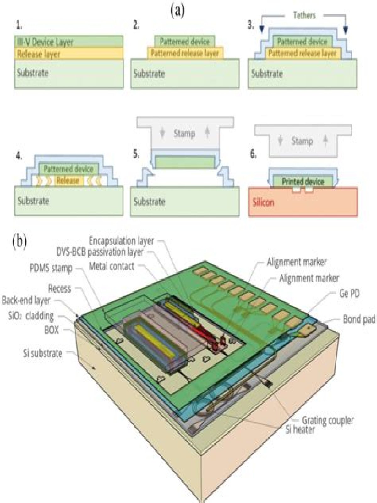 What is micro Transfer Printing?