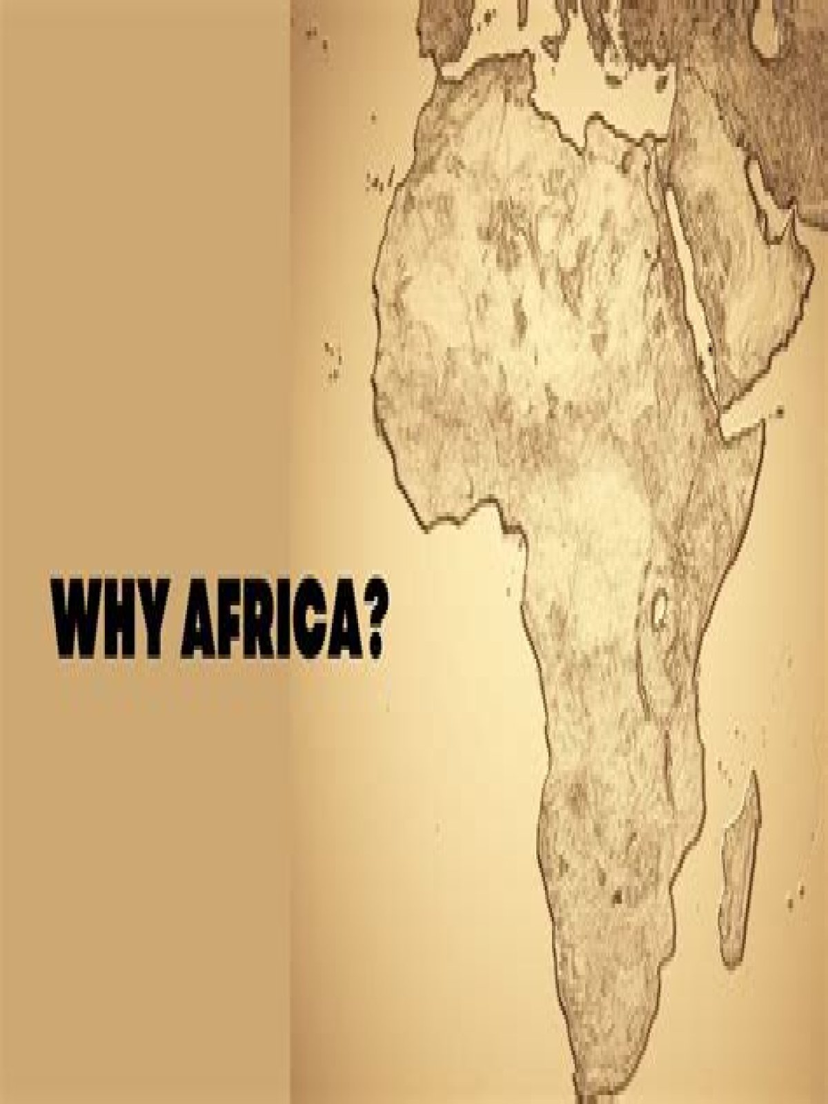 Why is South Africa important to the US?